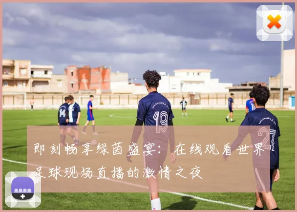 即刻畅享绿茵盛宴:在线观看世界足球现场直播的激情之夜